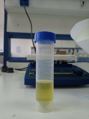 Achillea millefolium methanolic extract